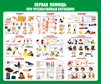 С20-1 Стенд Оказание первой помощи при ЧС (670х800 мм, пластик ПВХ 3 мм, Прямая печать на пластик) - Стенды - Стенды по первой медицинской помощи - Магазин охраны труда Протекторшоп